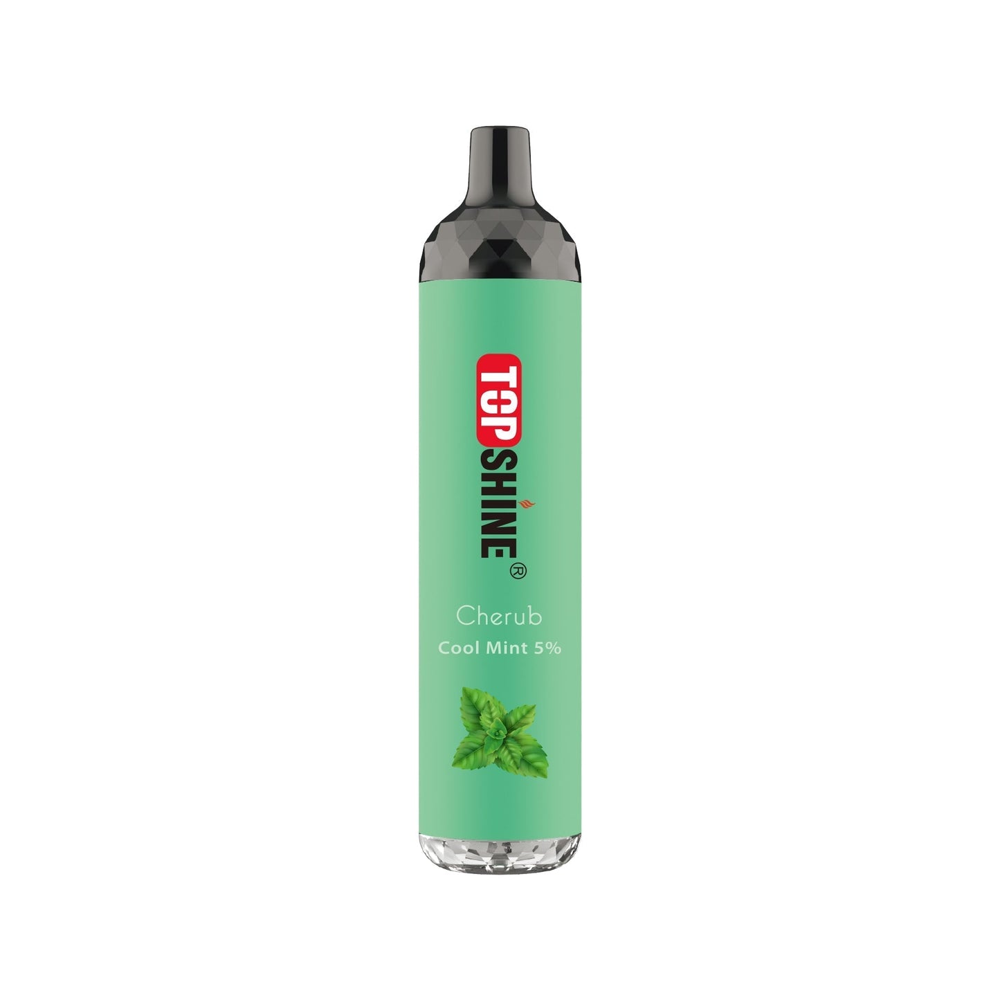 Topshine Disposable | 4500 Puffs | 10mL | 50Mg | MOQ 10 | Cool Mint