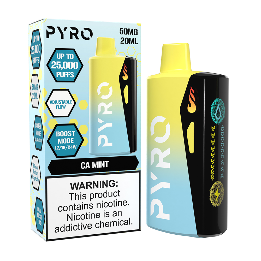 Pyro Boost Disposable | 25000 Puffs | 20mL | 50mg | MOQ 5 | CA Mint with packaging