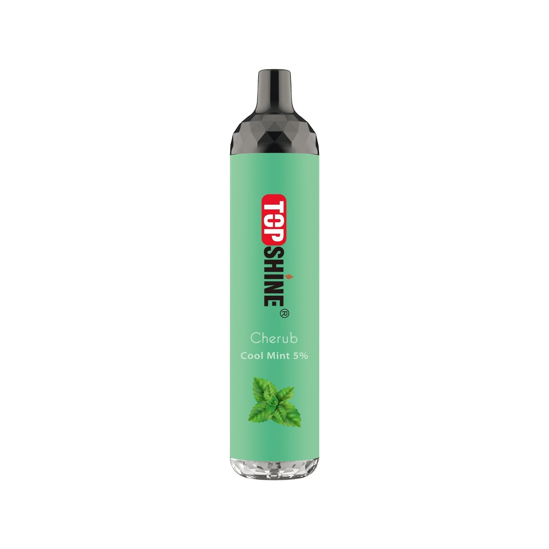 Topshine Disposable | 4500 Puffs | 10mL | 50Mg | MOQ 10 | Cool Mint