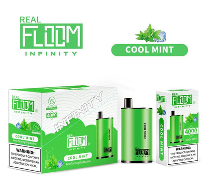 Floom Infinity Disposable 4000 Puffs 10mL 50mg | MOQ 5 | Cool Mint with Packaging