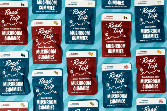 Road Trip Mushroom Gummies (28000mg 8ct Pouch) - Group Photo