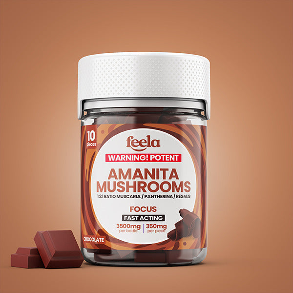 Feela – Amanita Mushrooms Chocolate 1:2:1 Ratio Muscaria/Pantherina/Regalis