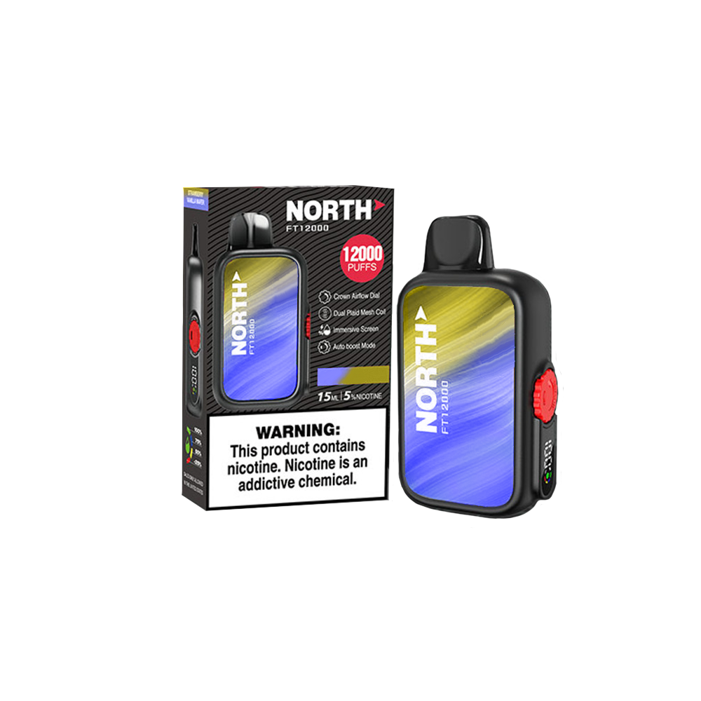 North FT12000 Disposable | 12000 Puffs | 15mL | 50mg | MOQ 5 | Blueberry Lemon with packaging