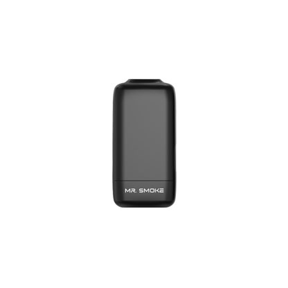 Luzid Mr. Smoke Personal Air Filter (5-Pack) - Black