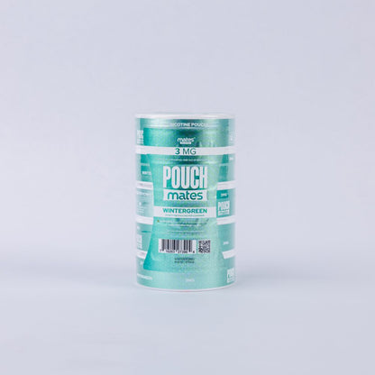 PouchMates (DSPLY 5pc)(Nic Pouch)(20ct Can) - Wintergreen
