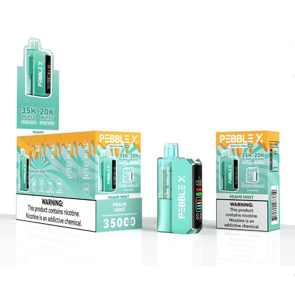 Pebble X Disposable + Power Dock - Miami Mint