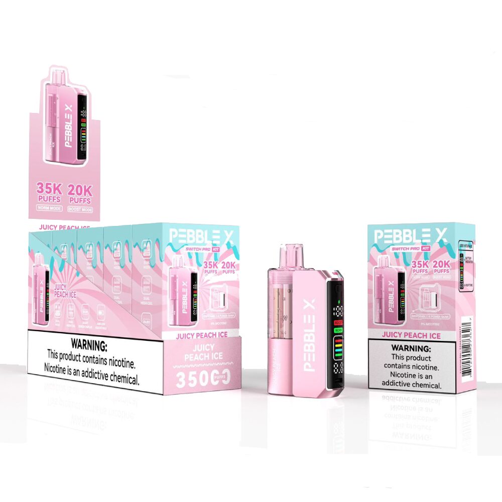 Pebble X Disposable + Power Dock - Juicy Peach Ice