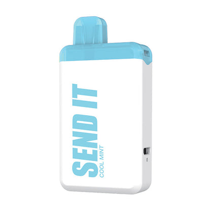 SEND IT Disposable 5000 Puffs 12mL 50mg | MOQ 5 | Cool Mint